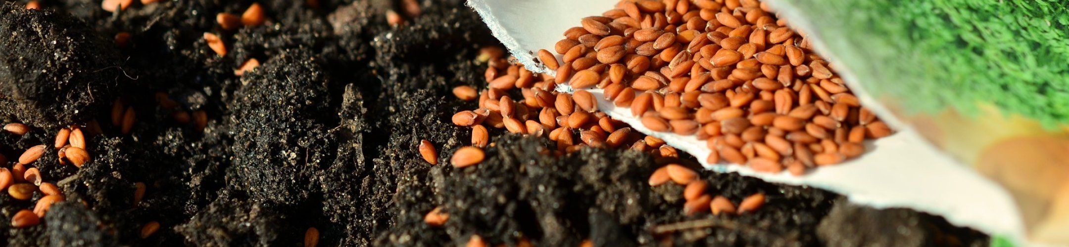 Call Announcement JOINT CALL 2021 on “Food Systems”