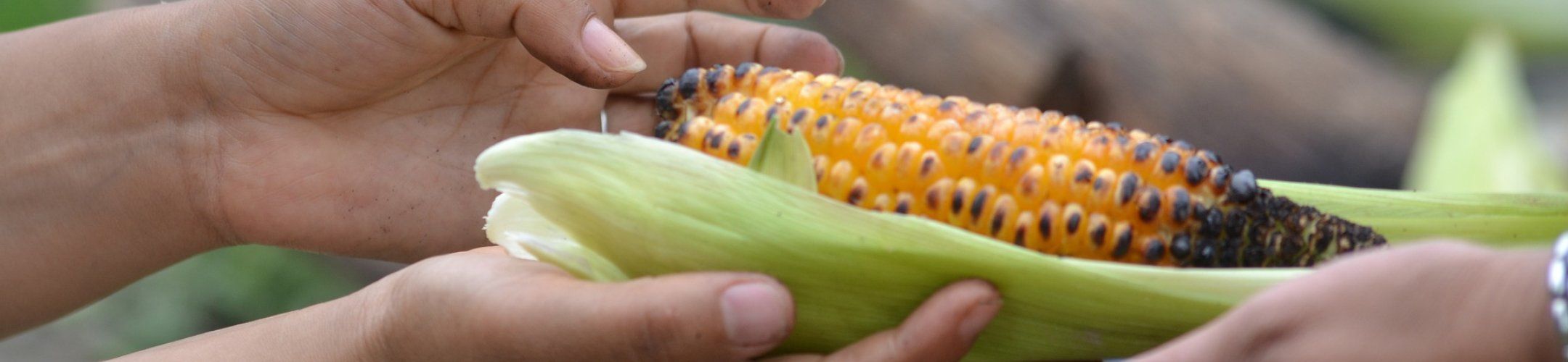 Digital workshop FOSC, September 21