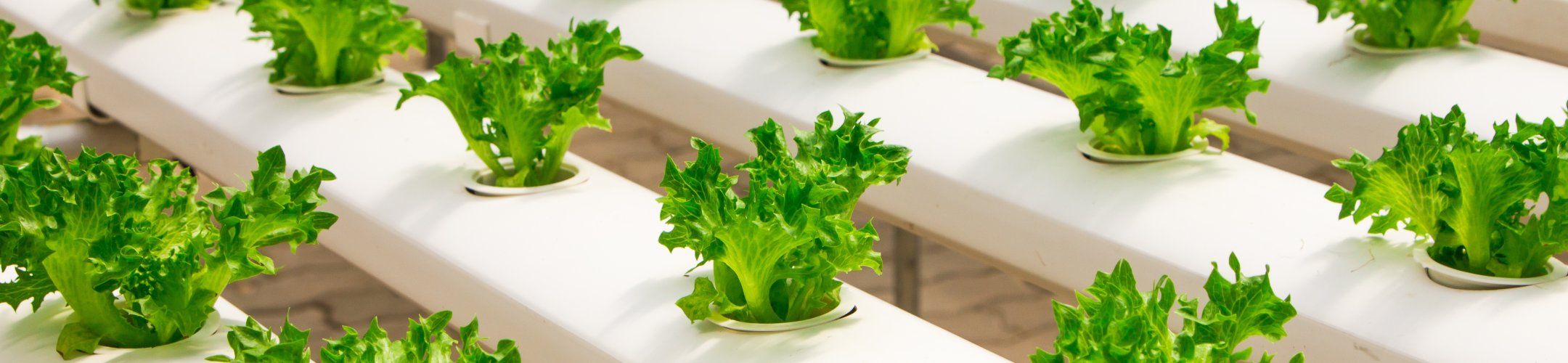 FOSC midterm workshop