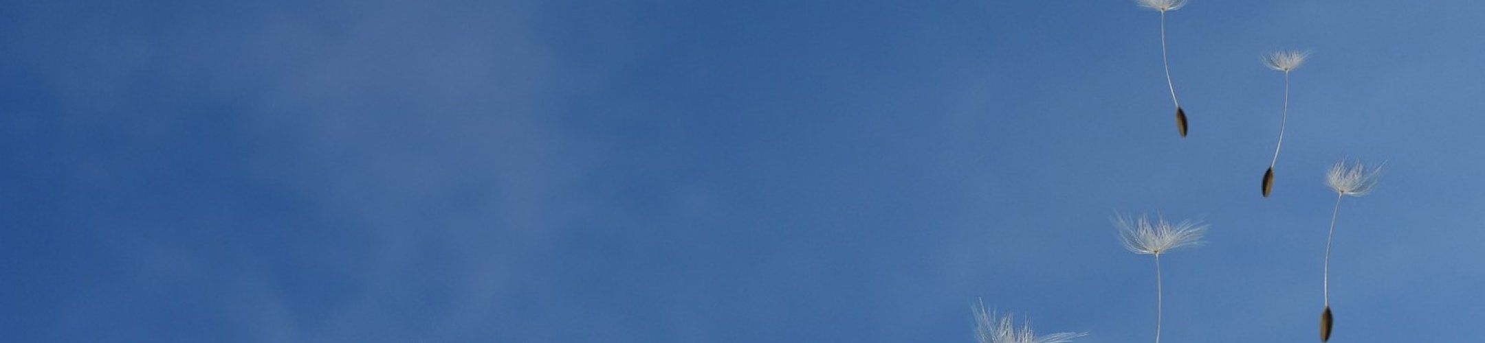 Five projects are selected for funding