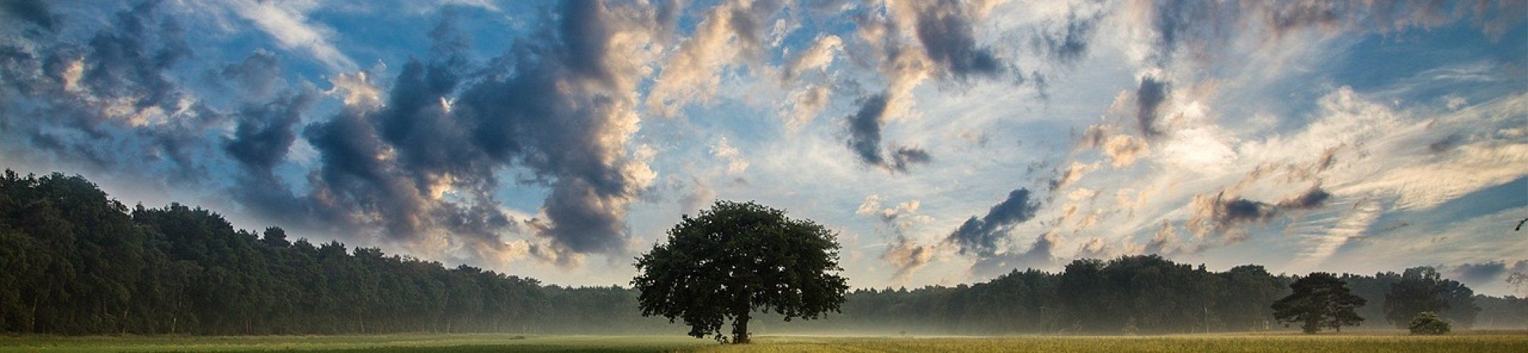 Green ERA-Hub Announces 1st research funding call