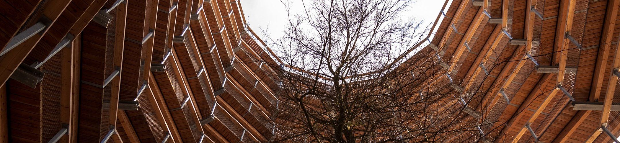 Join the workshop on Knowledge Platforms - 1 June 15:00-17:00