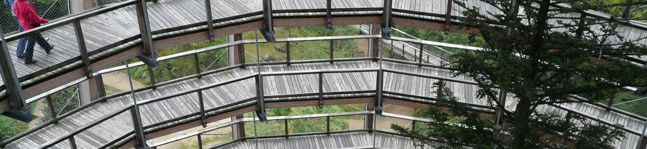 Knowledge Platform event and training in Bari