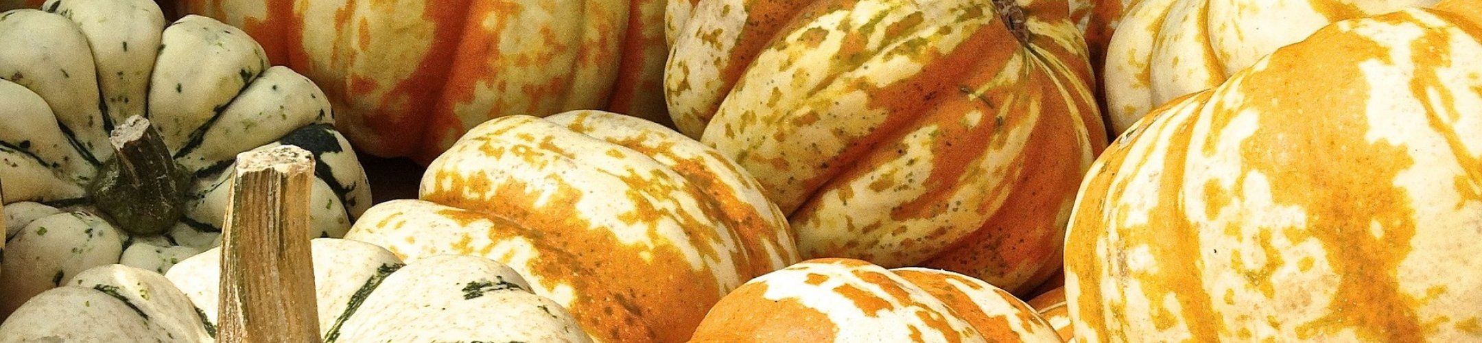 Midterm workshop joint call projects