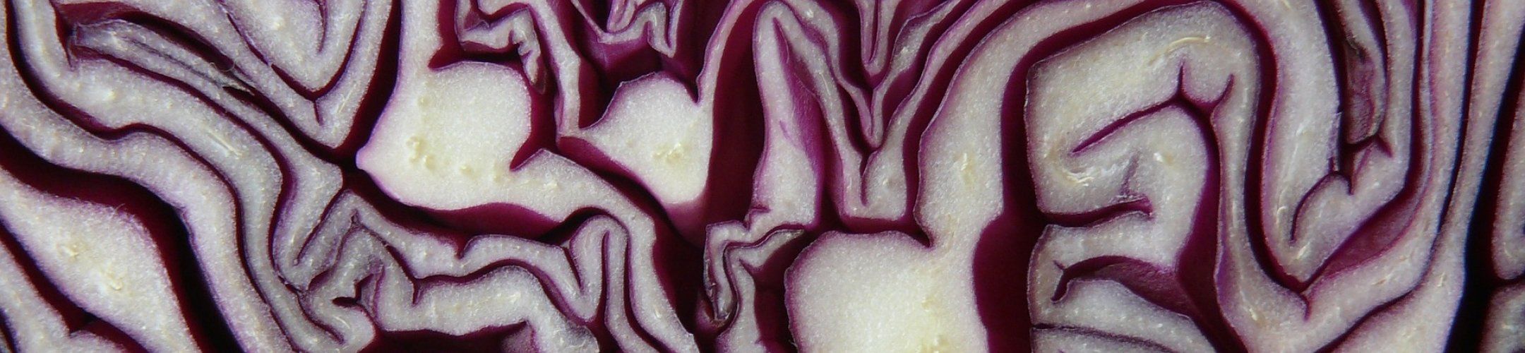 Project web pages are online