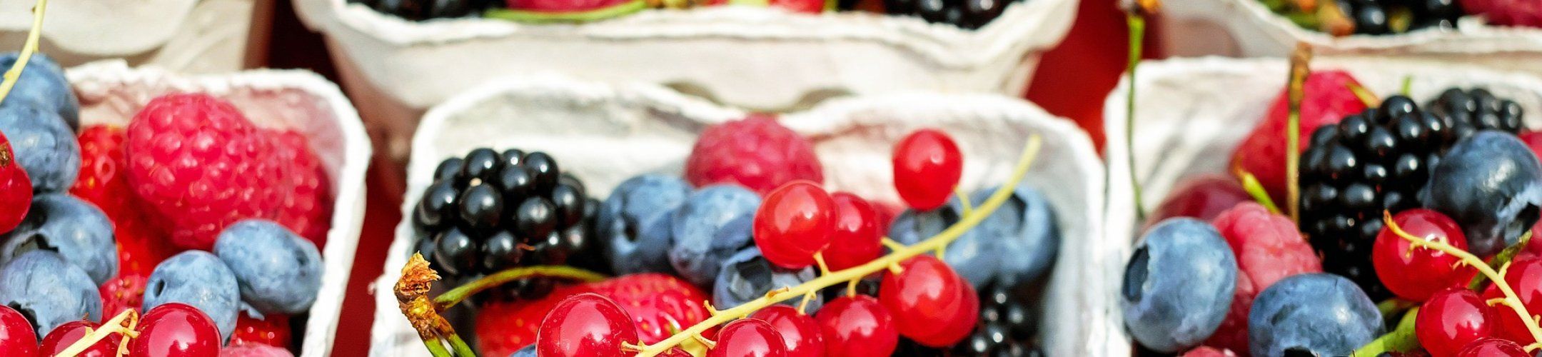 Thirty-one proposals submitted to the 2021 SUSFOOD2 and FOSC joint call