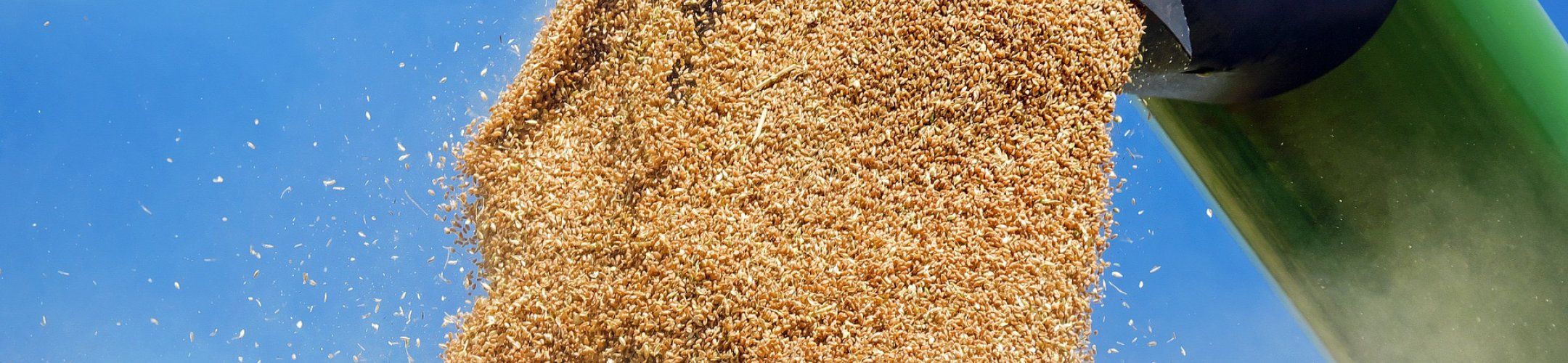 Webinar on Food system approach – 17th of June at 14:00 (CEST)